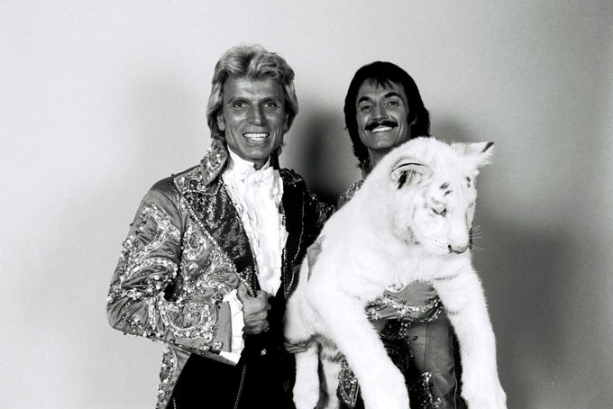 Siegfried and Roy: What Happened the Night of the Tiger Attack?