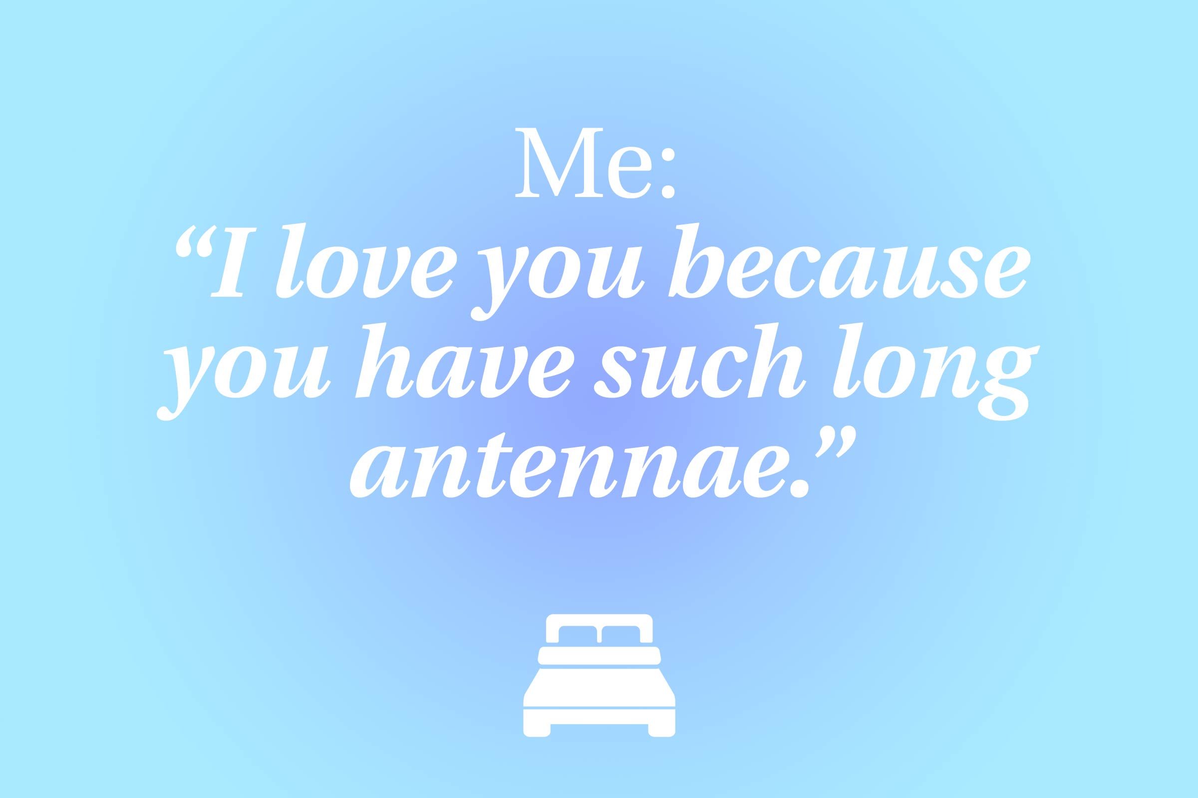 04-The-19-Funniest-Things-People-Said-in-Their-Sleep-275455670-vectorchef