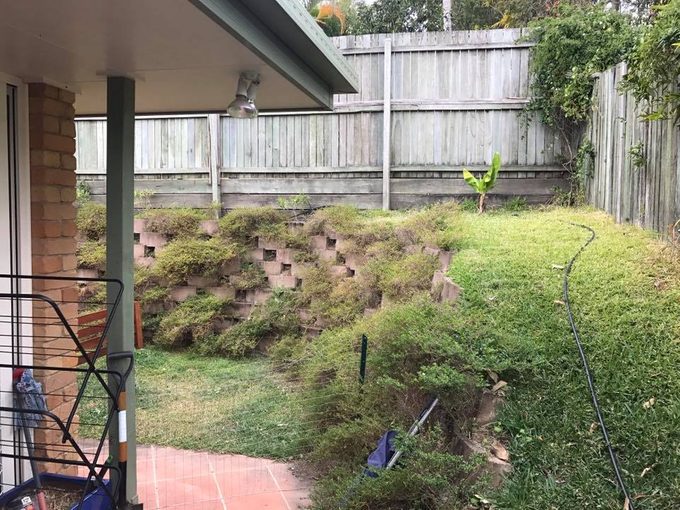 Most People Can’t Spot the Snake in This Photo—Can You?