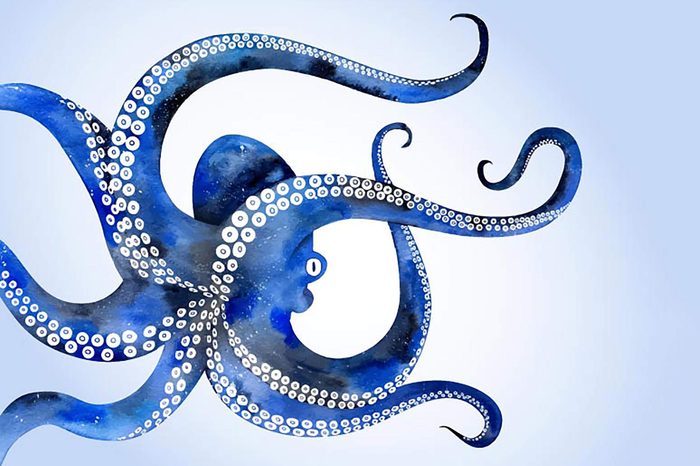 Vector illustration watercolor of hand drawn with octopus. Background with an octopus.Watercolor vector