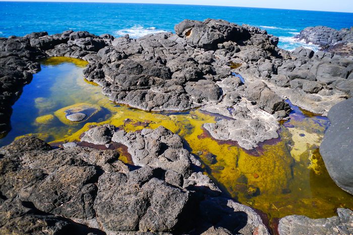A pool at he Queen's bath, Kauai Hawaii