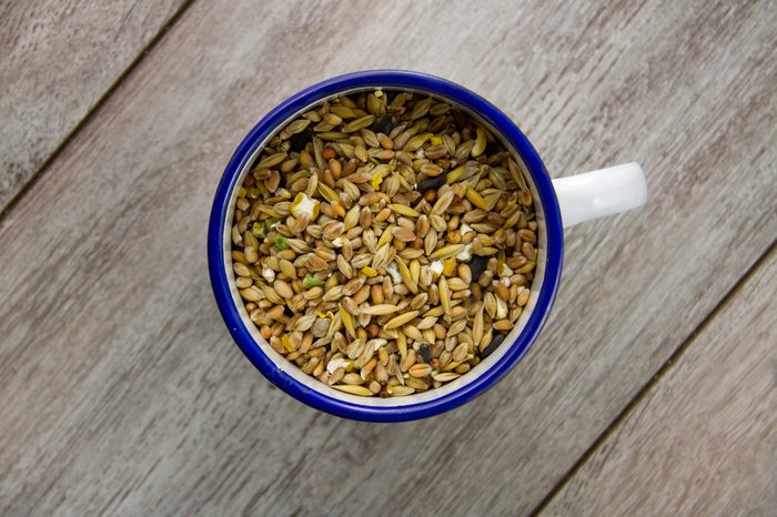Bird seed in an enamel cup