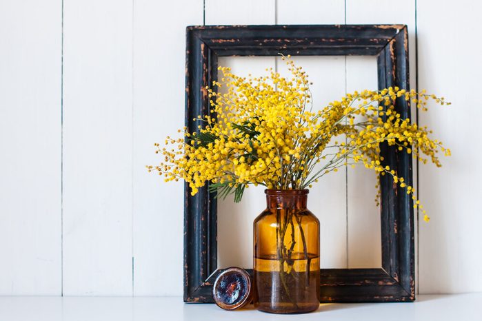 Home decor, mimosa yellow spring flowers in a vintage bottle on the white wall background