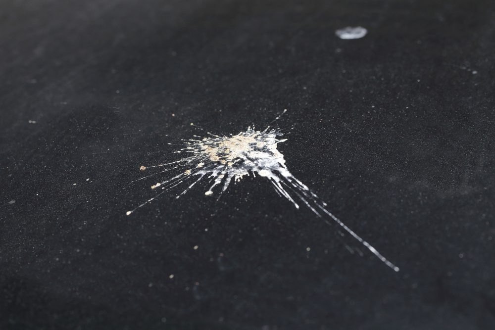 White vinegar for cleaning bird poop