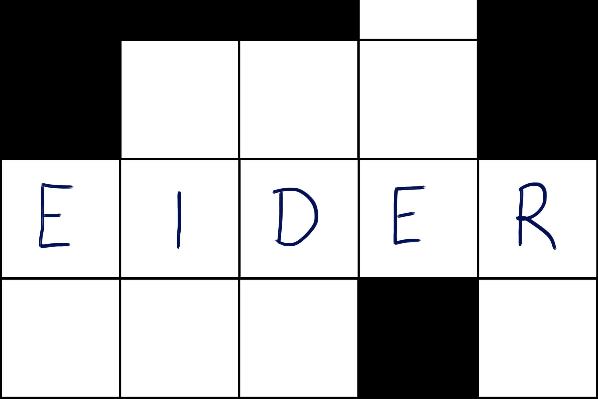 Eider