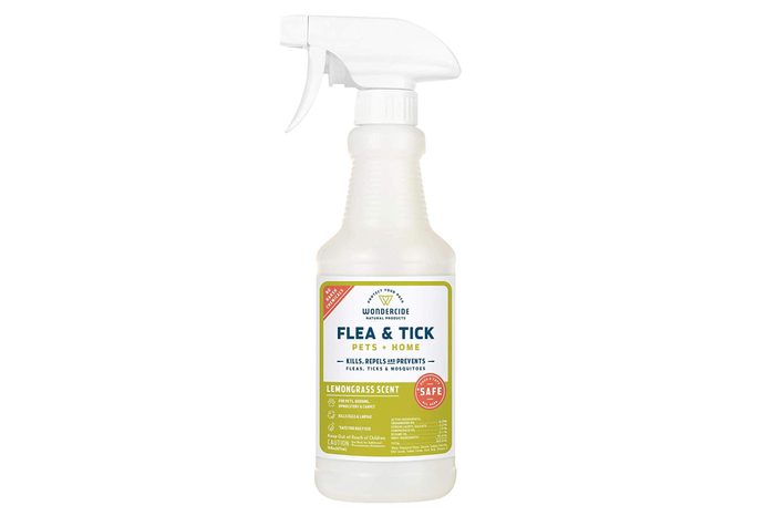 bug spray 