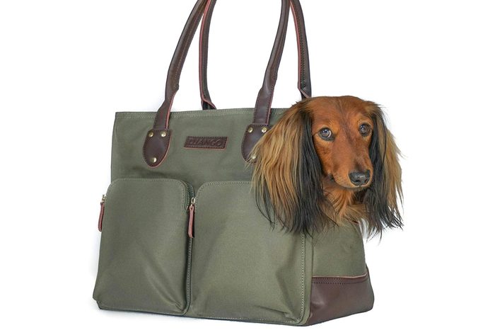 pet carrier 