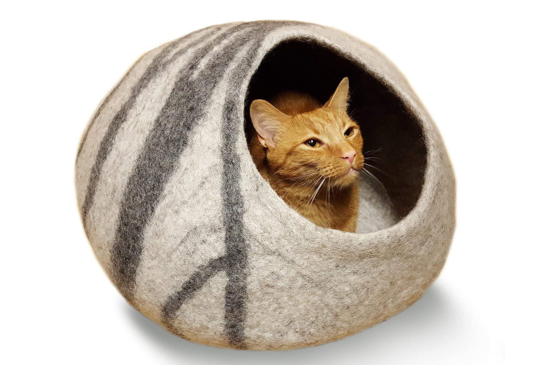 cat bed