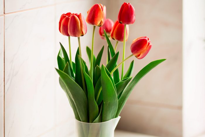 Still life with tulips bouquet on wooden table