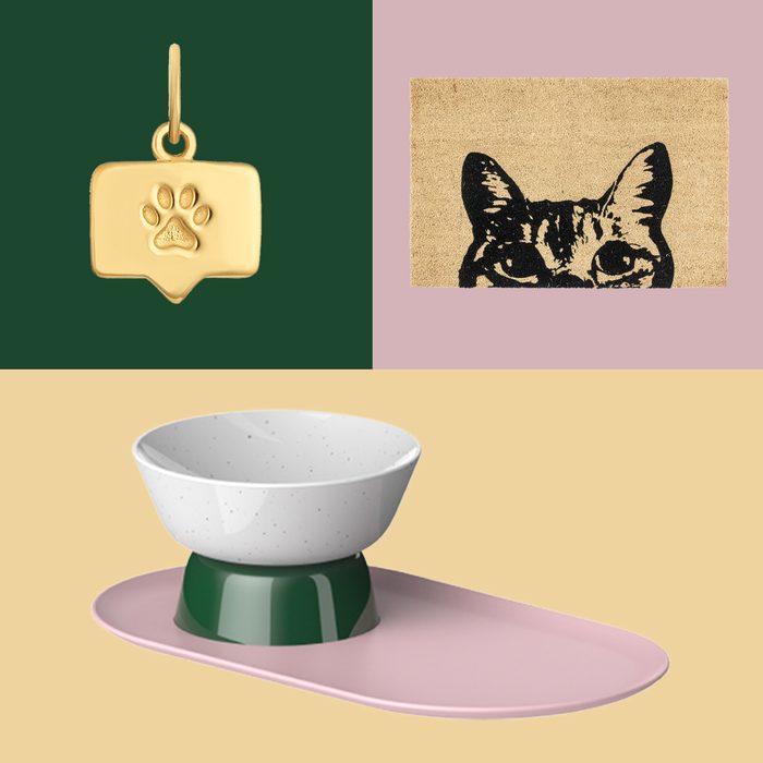 48 Best Gifts for Cat Lovers and All Feline Fans