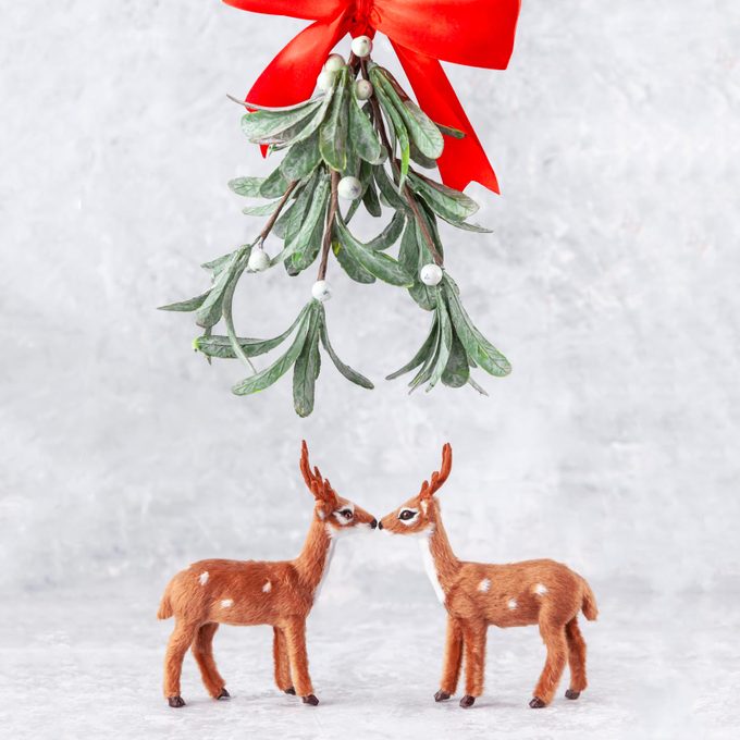 Why Do We Kiss Under the Mistletoe?