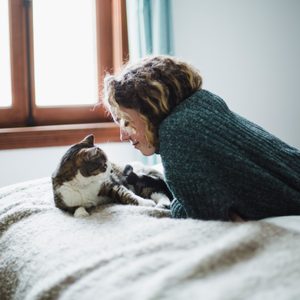 Cat lies on bed looking at person in cozy sweater; bright room with window and bookshelves.