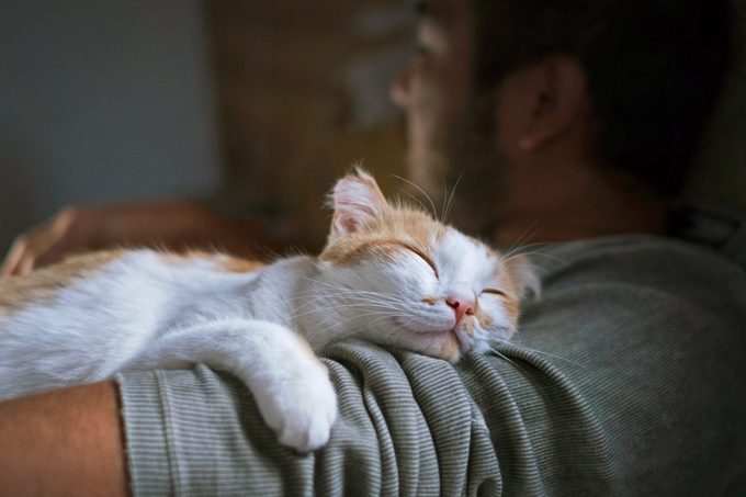 Why Cats Sleep on You, According to Experts