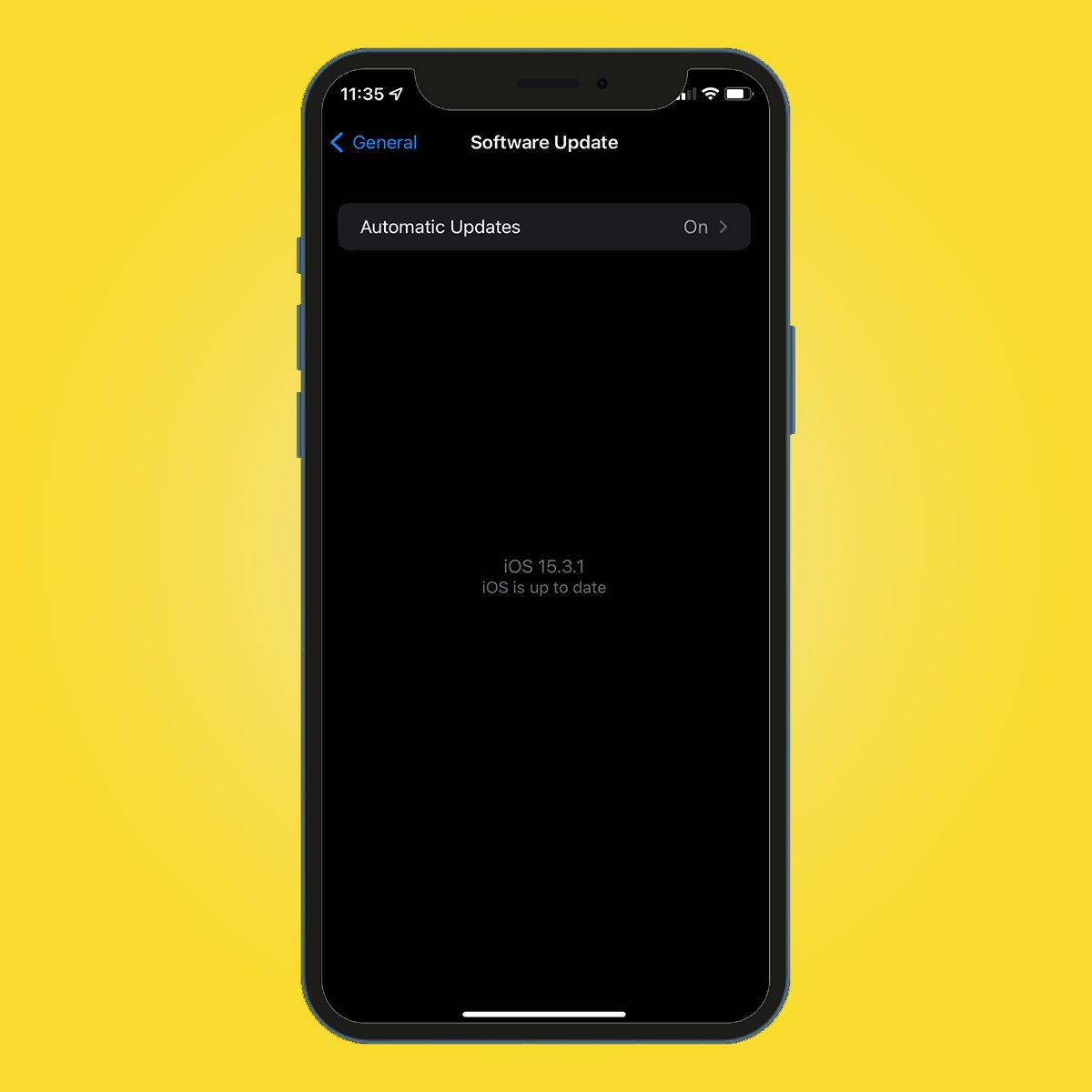 Ios Software Up To Date On Iphone
