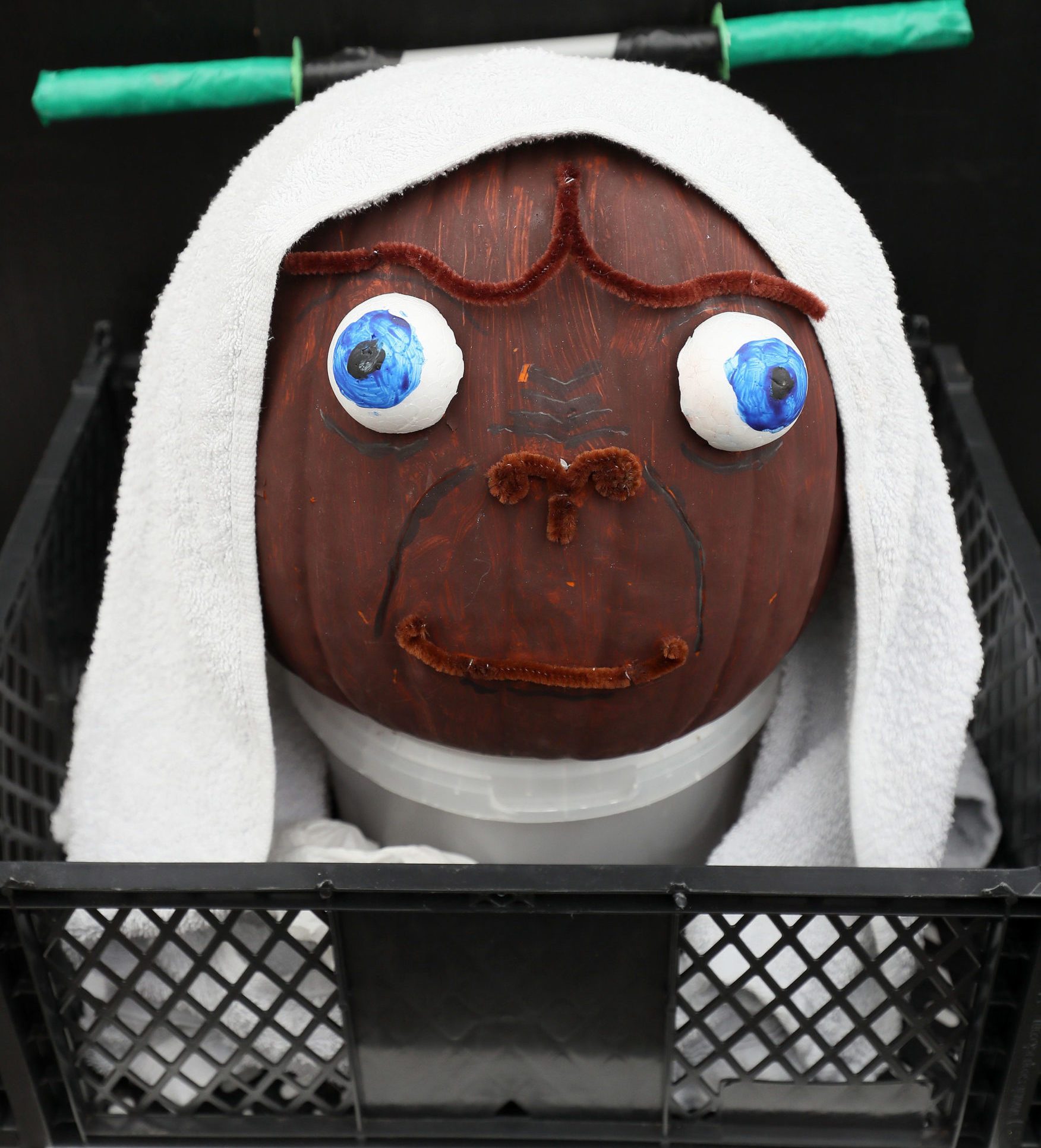 National Botanic gardens decorated pumpkin competition