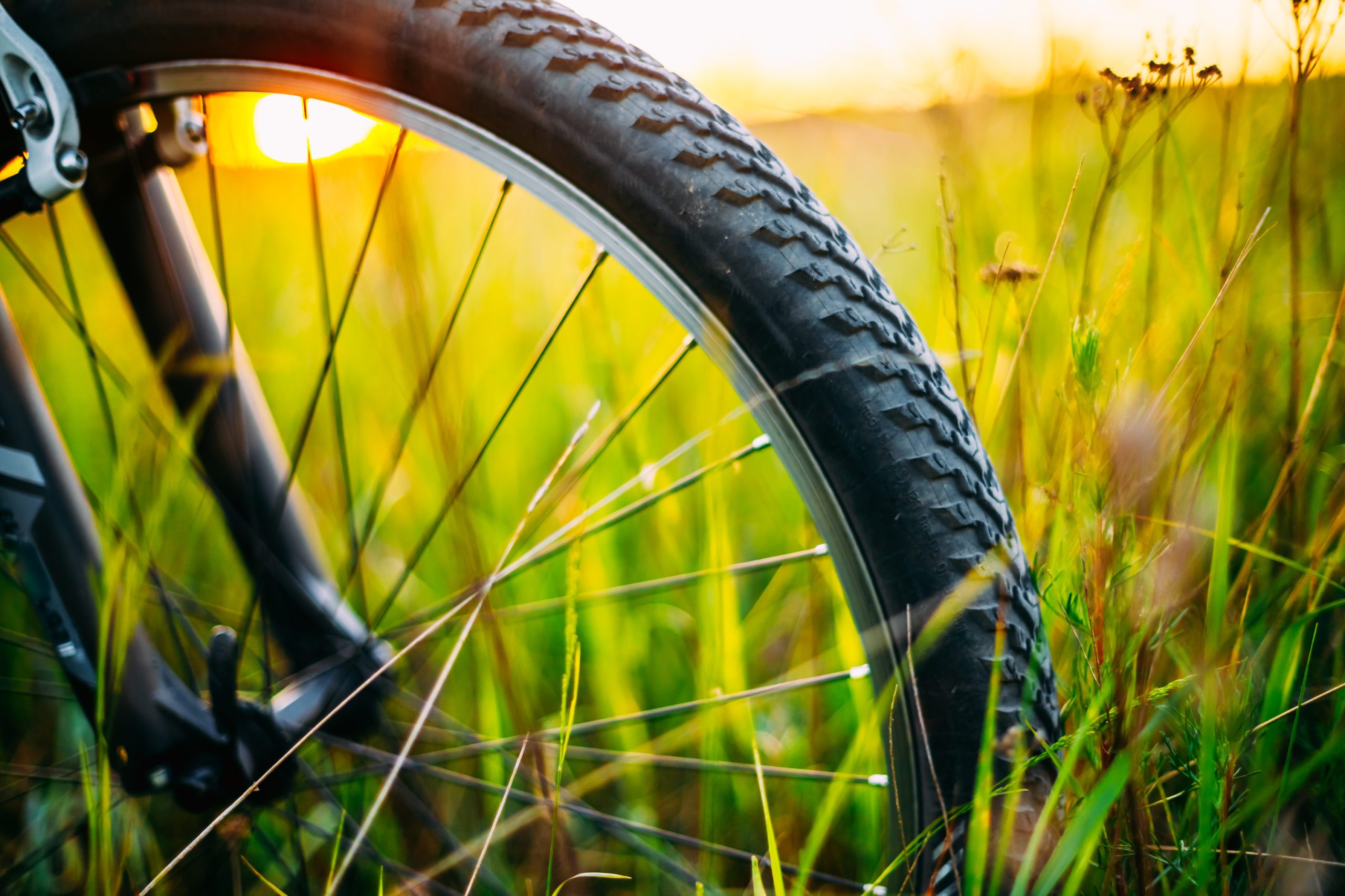 Close-Up Of Bicycle Wheel On Field