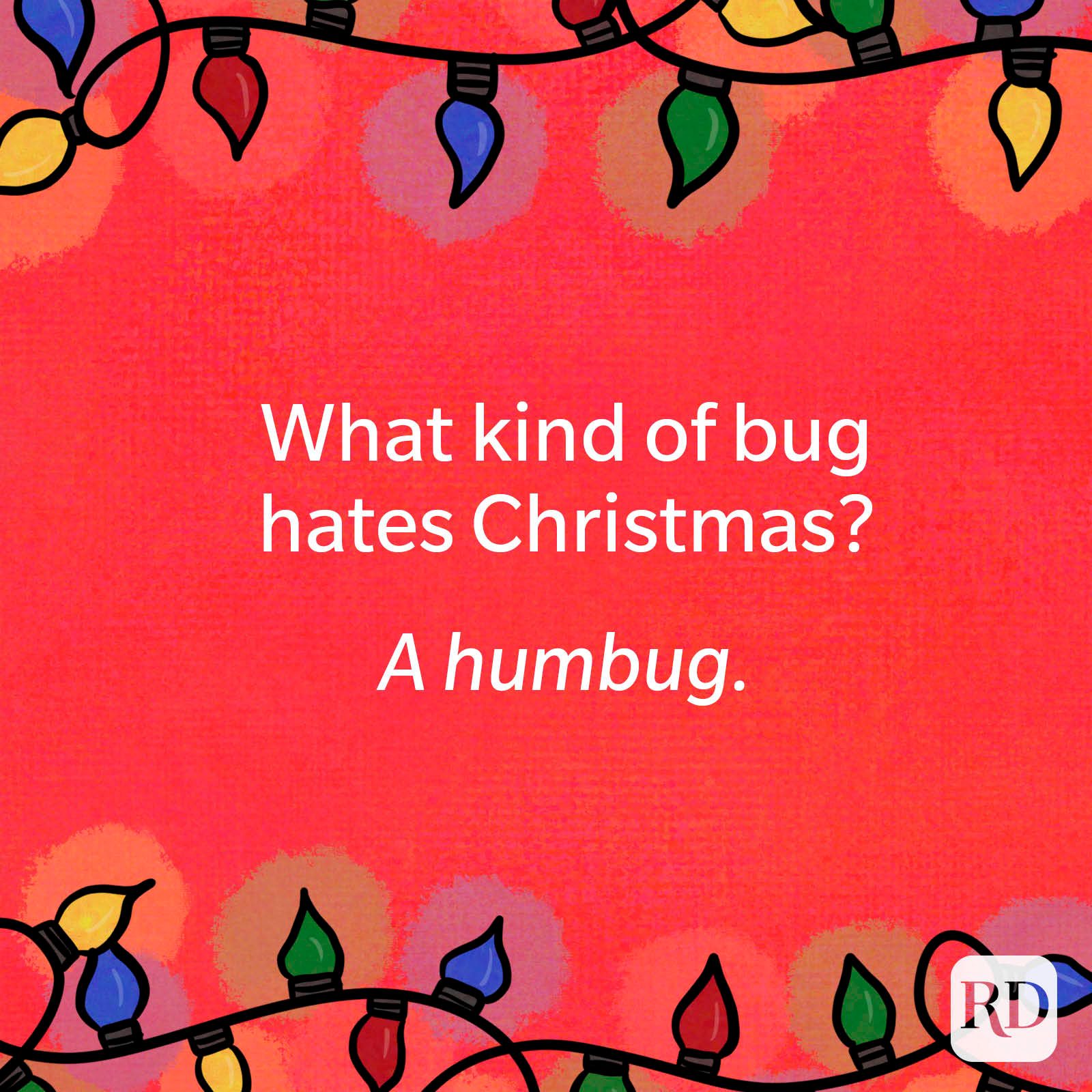What kind of bug hates Christmas?