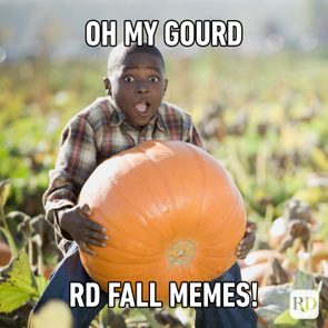 Child holding large pumpkin, looking surprised in sunny pumpkin patch. Text reads: 