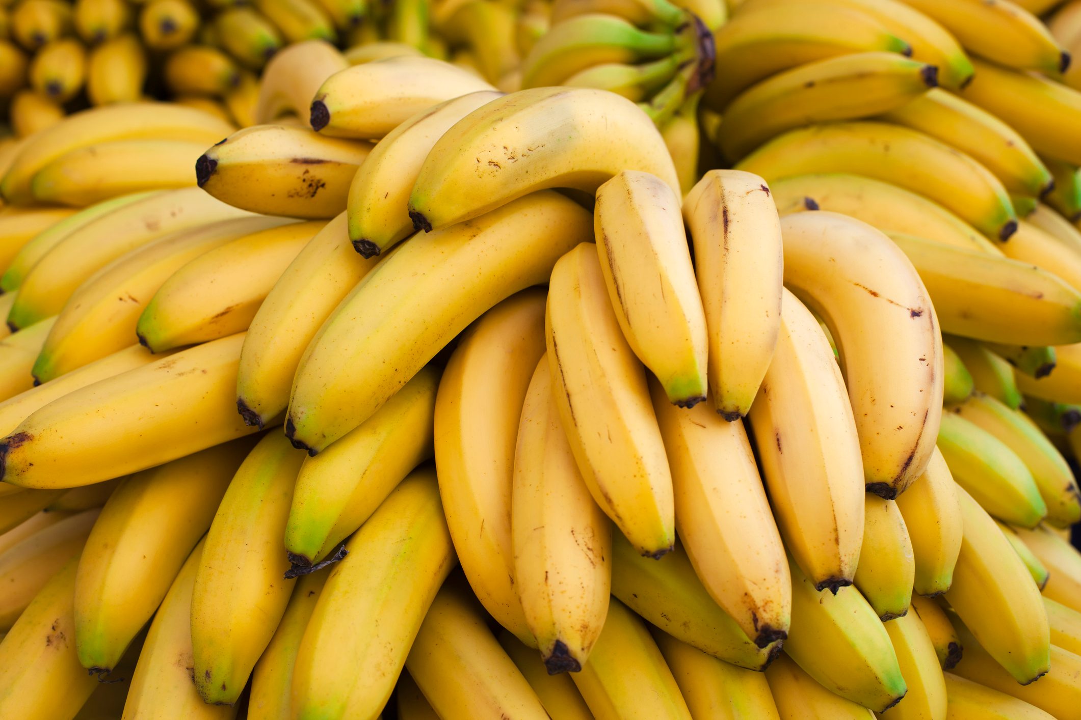 bunches of bananas full frame