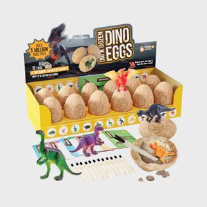 Dinosaur eggs display, revealing toy dinosaurs; includes tools, cards, and packaging. Vibrant dinosaur figures stand among labeled eggs and tools, highlighting educational play.