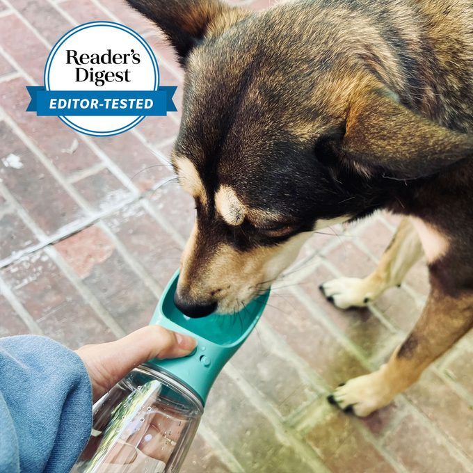 I Tried the Portable Dog Water Bottle With 28,000 Fans on Amazon and I’m Never Leaving Home Without It