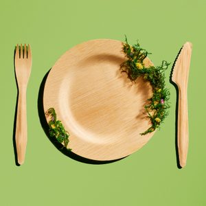 A wooden plate adorned with green moss sits between a matching fork and knife, all placed on a plain green background.