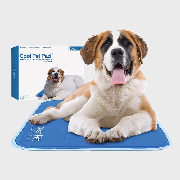 Dog lying on a blue cooling mat, tongue out, next to a product box labeled 