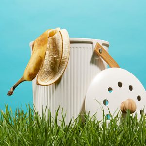 A banana peel rests on a ribbed compost bin with a detached lid, surrounded by grass against a blue background.