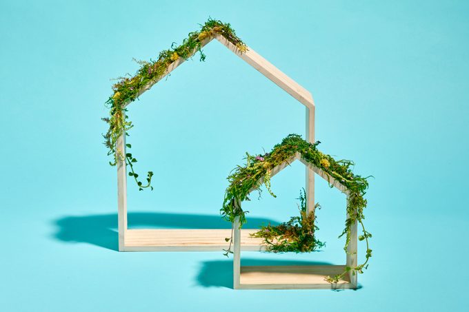 The Essential Guide to Sustainable Living