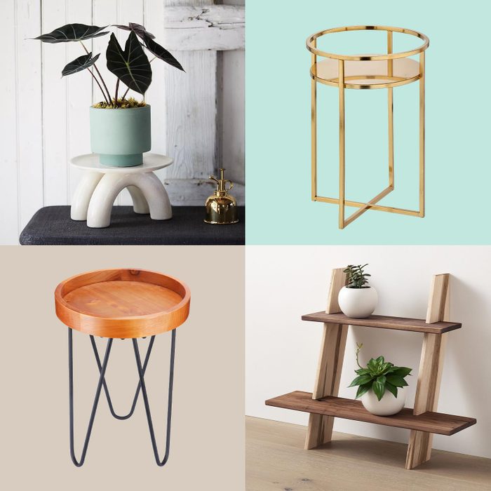 11 Best Plant Stands to Show Off Your Indoor Garden