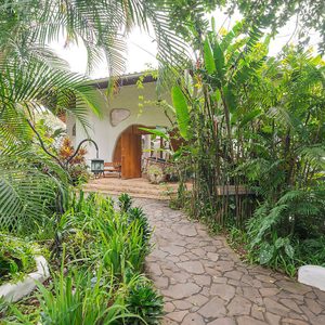 Pathway leads to an open wooden door in a white building, surrounded by lush tropical greenery and plants.