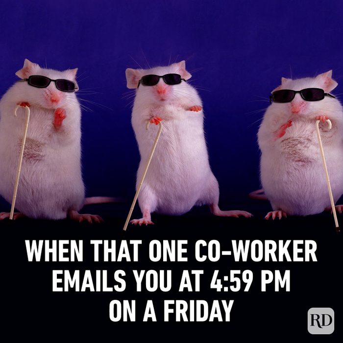 Friday Memes 36