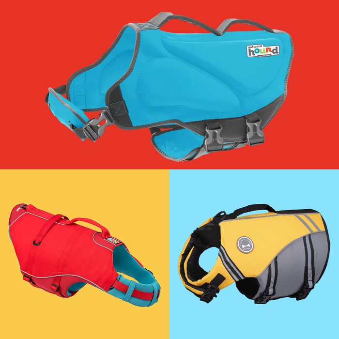 6 Best Dog Life Jackets to Keep Your Pooch Safe Around Water