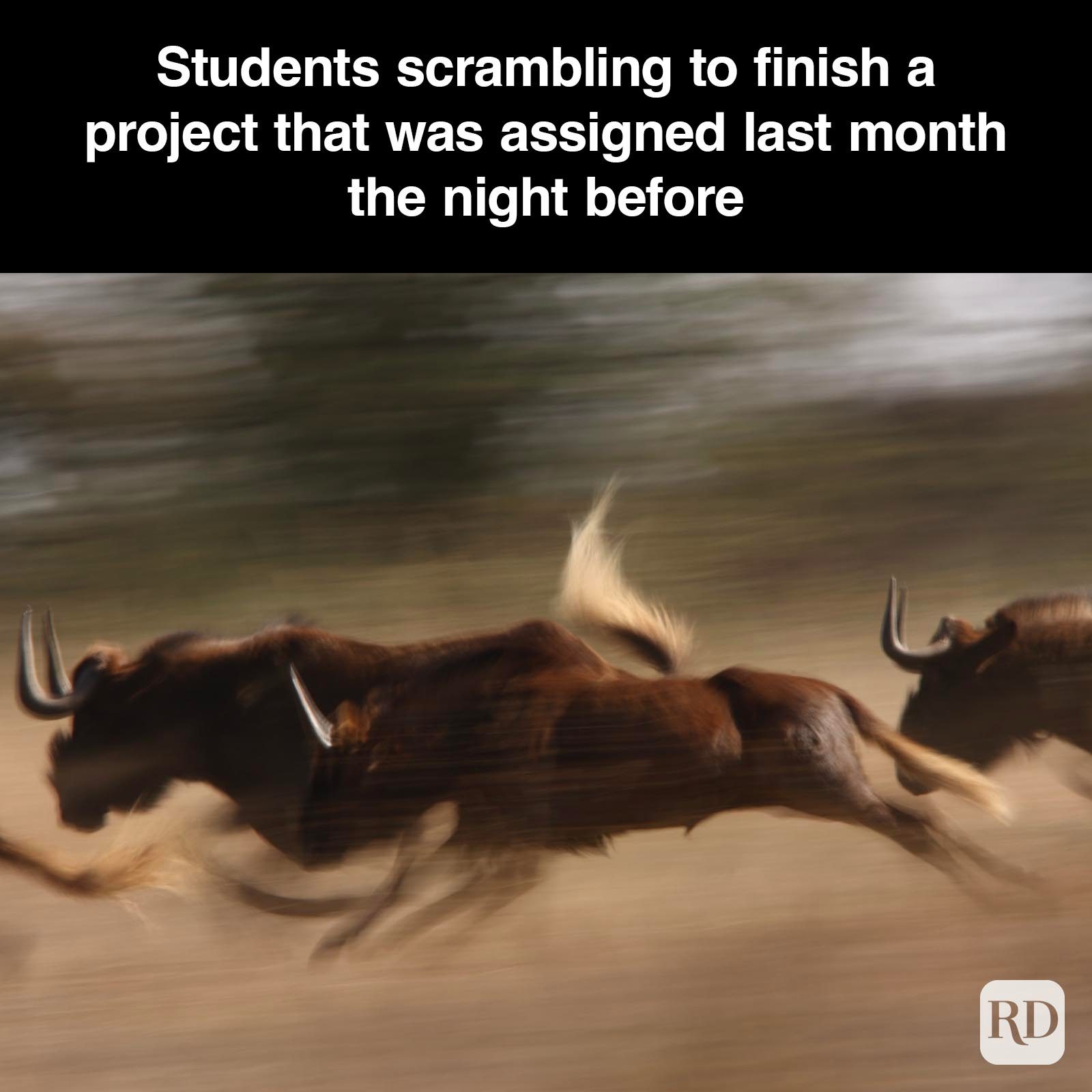 Teacher Memes 17