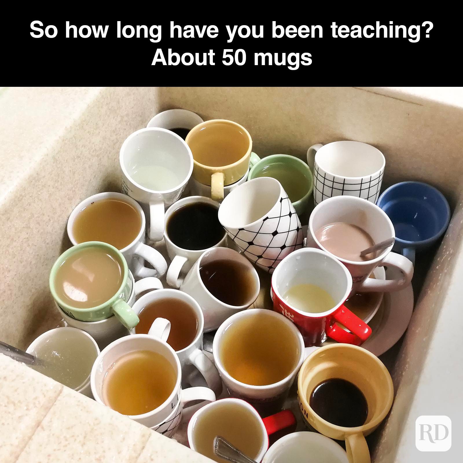 Teacher Memes 23