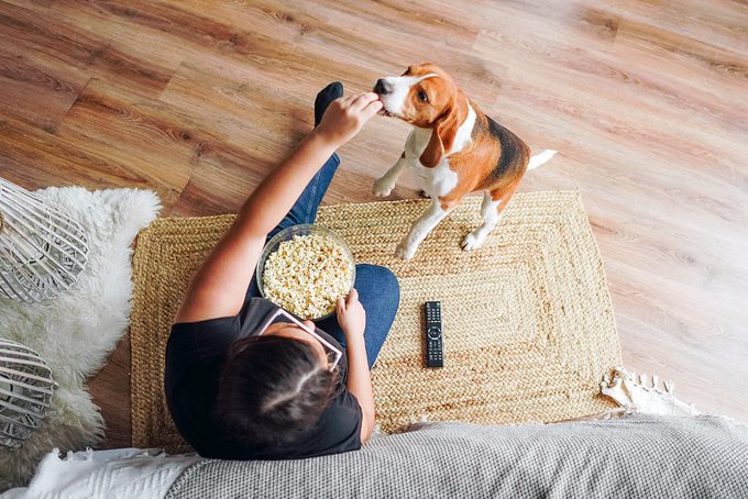 Can Dogs Eat Popcorn? Here’s What Vets Say