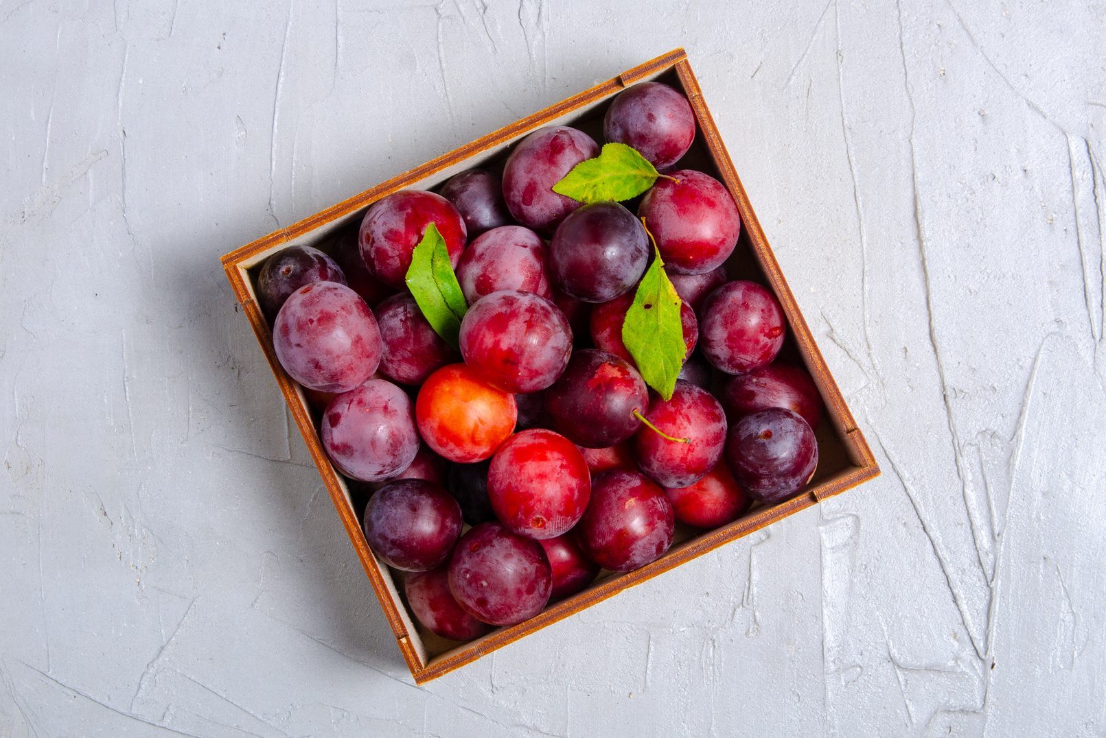 Fresh plums fruit on white gray stone background