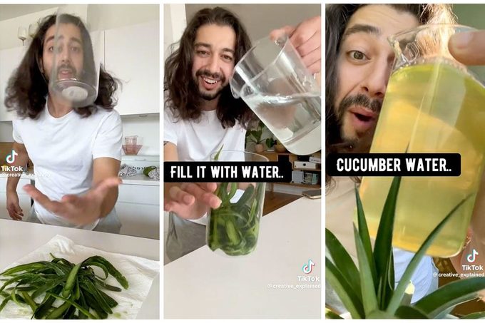 2 Things to Do with Cucumber Peels for Healthy Plants