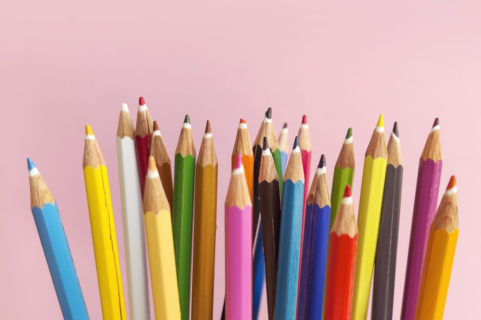 Colored pencils stand upright, clustered together against a pink background.