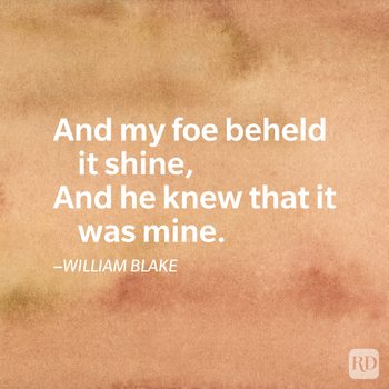 Text appears over a textured brown background, stating: "And my foe beheld it shine, And he knew that it was mine." â€“WILLIAM BLAKE.