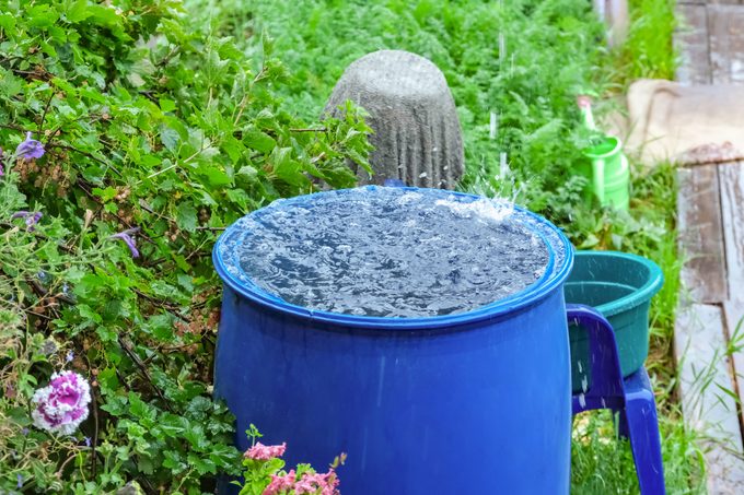 Can You Go to Jail for Collecting Rainwater?