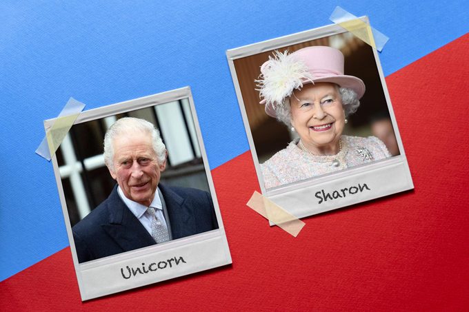 11 British Royal Family Code Names You Never Knew About