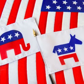 Elephant and donkey symbols adorn small flags, resting on an American flag background.