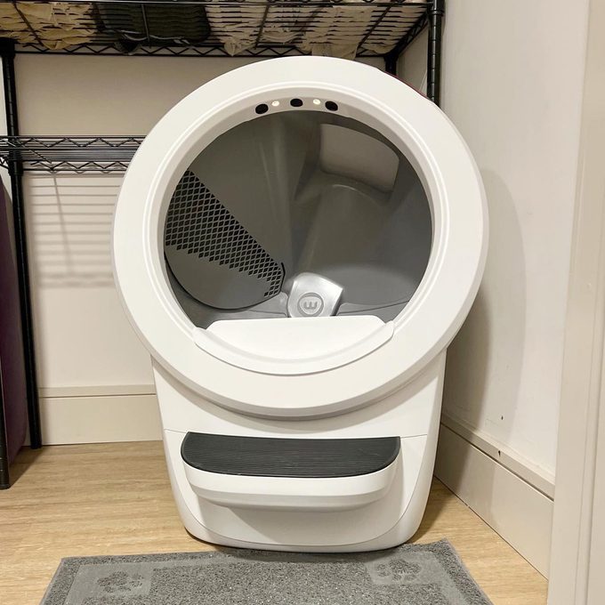 Whisker Litter-Robot 4 Review: Yes, It’s Worth the $700 Price Tag