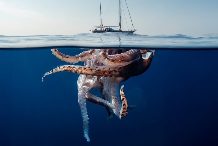 14 Mysteries of the Ocean Scientists Still Can’t Explain