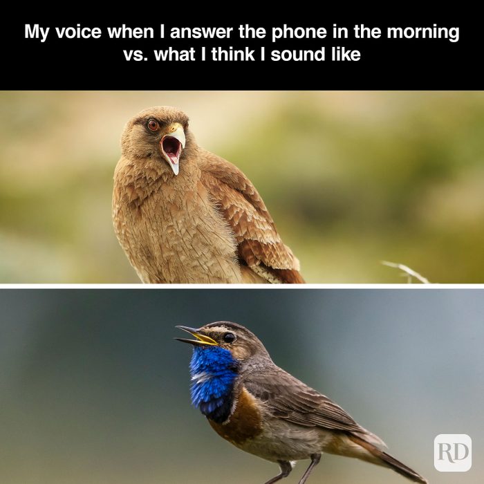 A meme about - Morning Voice