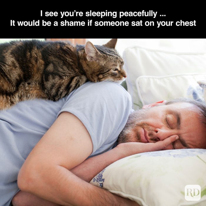 A meme about - When The Cat Decides It's Breakfast Time