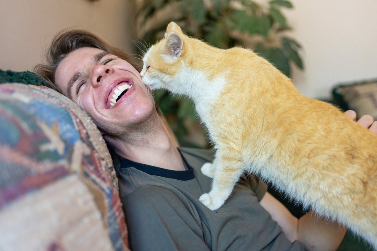 cat licking person