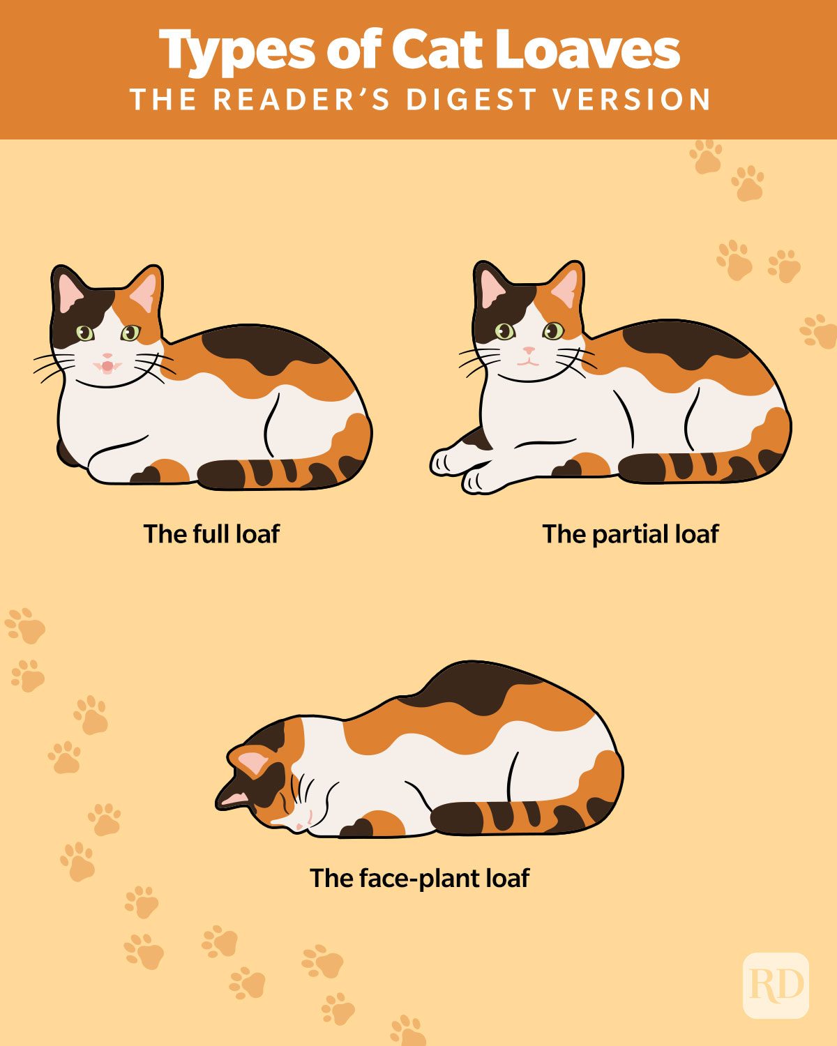 Three different types of Cat Loaves shown with cat illustrations.